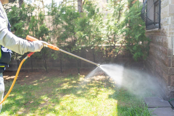 Best Flea Control Services  in Fraser, CO