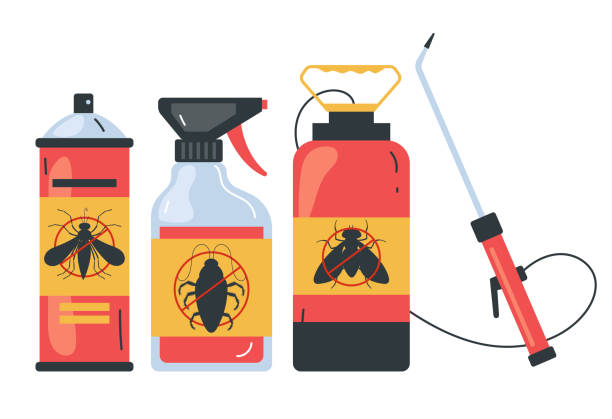 Best Spider Control Near Me  in Fraser, CO