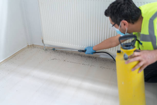 Best Emergency Pest Control  in Fraser, CO