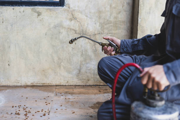 Professional Pest Control in Fraser, CO